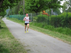 sieger